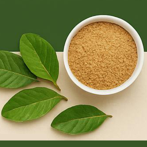 Digestive & Gut Health