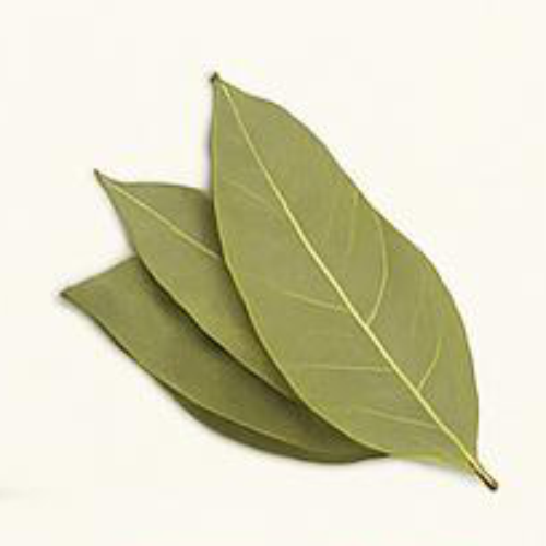 Bay Leaf